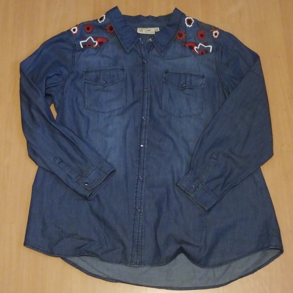 Dg2 Diane Gilman shirt 2x